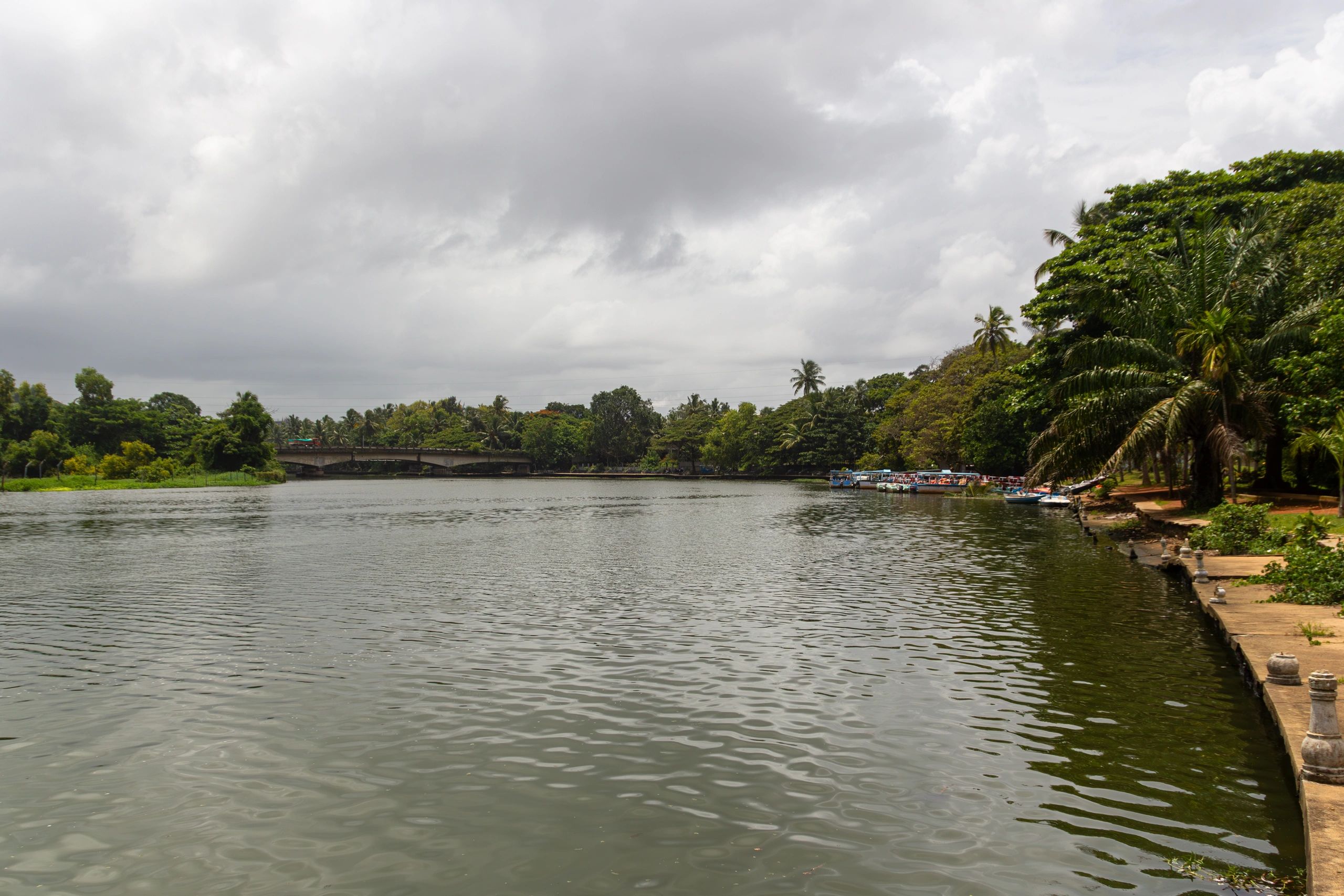 Kerala backwaters and shoreline